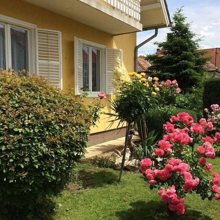 Gizella Haz Apartment Keszthely Ngoại thất bức ảnh